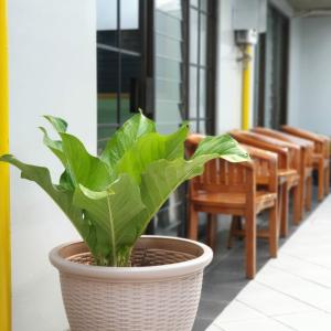 Ristorante o altro punto ristoro di Hotel Griya Wijaya