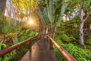 
a wooden walkway leading to a lush green forest at Ramada Resort by Wyndham Port Douglas in Port Douglas
