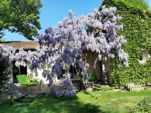 Gallery image of SAKURA in Fontaine-le-Comte