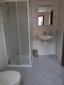 uma casa de banho com um chuveiro, um WC e um lavatório. em Ferienhaus Andrea Höcherl em Wolkenstein