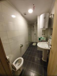 a bathroom with a toilet and a sink at Marušić Apartments in Vlasic