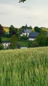 un campo de trigo con una granja en el fondo en Ferienhaus Andrea Höcherl en Wolkenstein