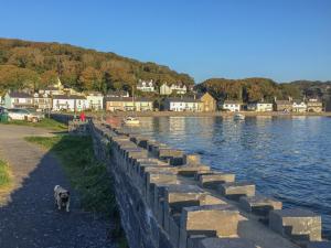 a dog standing next to a retaining wall next to a body of water at Bay View Apartment in Porthmadog