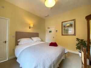 a bedroom with two beds and a plant in it at The Victoria in Newcastle under Lyme