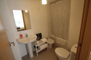 a bathroom with a sink and a toilet and a mirror at APARTAMENTO LABEGAIN 2 in Sestao
