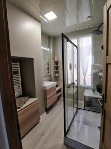 uma casa de banho com um chuveiro, um lavatório e um espelho. em Passage du Saumon em Montrichard