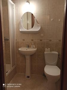 a bathroom with a toilet and a sink and a mirror at pokoje gościnne Grażyna in Cieszyn