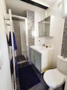 uma casa de banho com um WC, um lavatório e um chuveiro em STUDIO COSY LE Ti PARIS WIFI & NETFLIX em Deuil-la-Barre