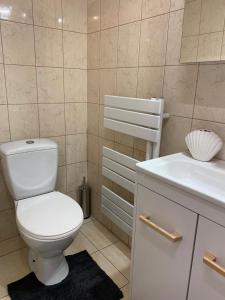 a bathroom with a white toilet and a sink at Łajba-noclegi na wydmie in Stegna