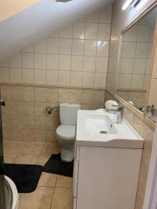 ein Badezimmer mit einem WC, einem Waschbecken und einem Spiegel in der Unterkunft Łajba-noclegi na wydmie in Stegna