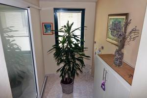 Fotografie z fotogalerie ubytování Apartment Babić v destinaci Makarska