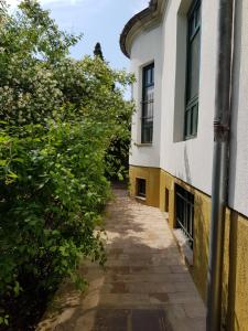 an alleyway leading to a building with trees at Borostyánkő Vendégház in Szombathely