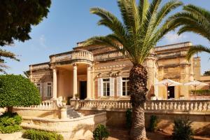 un palmier devant un bâtiment dans l'établissement Corinthia Palace Malta, à Attard