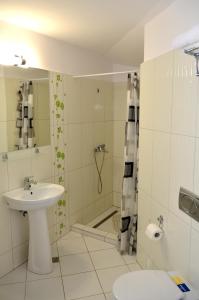 a bathroom with a sink and a shower at Vila IZVORUL MINUNILOR in Stana de Vale