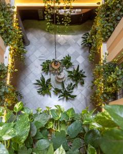 Hotel Reina Cristina, Granada – Updated 2022 Prices
