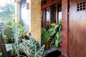 a bunch of plants in front of a building at Unique Homestay 443 in Yogyakarta