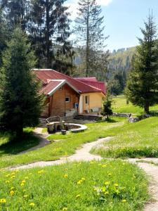 a log cabin with a red roof in a field at Vila IZVORUL MINUNILOR in Stana de Vale