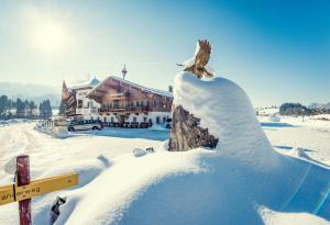 Hotel Riedl durante l'inverno