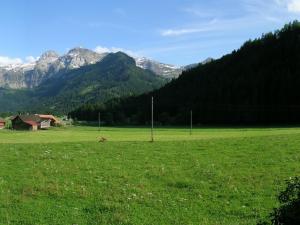 a large green field with mountains in the background at Apartment Chalet Claudia by Interhome in Lenk