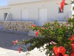 a house with red flowers in front of it at Your Second Home in Kefalos