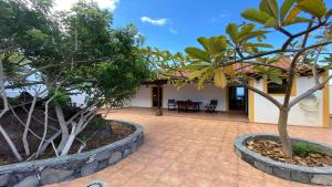 a patio with trees in front of a house at Casa Camilo II in Valle Gran Rey