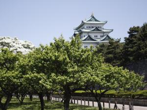 Un punto de interés cerca de del hotel