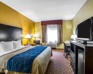 Quality Inn Plant City - Lakeland في بلانت سيتي: غرفة فندقية بسرير وتلفزيون بشاشة مسطحة
