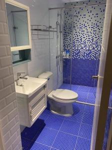 e bagno piastrellato blu con servizi igienici e doccia. di Blue House a Jincheng