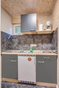 a kitchen with a sink and a counter top at Feriendorf Fynnus in Dranske