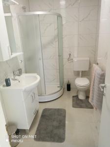 a bathroom with a shower and a sink and a toilet at Apartmani Darko in Međugorje