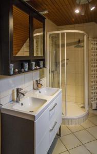 a bathroom with a sink and a shower at Ferienhaus im Bestetal in Bad Oldesloe
