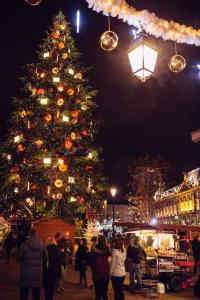 a christmas tree is lit up at night at LE NID DE L'ILL, Magnifique Duplex Cosy Petite France in Strasbourg