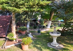 Zahrada ubytování Gasthof und Eiscafe Frank