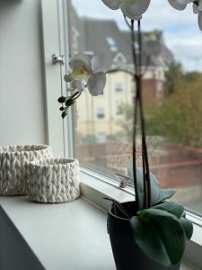 two flowers in a vase sitting on a window sill at Luxury Serviced Apartments Stevenage, Hertfordshire in Stevenage