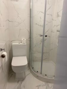 
a white toilet sitting next to a shower in a bathroom at Abbey Lodge Hotel - B&B in London
