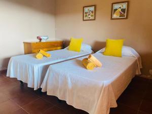 Vakantiehuis Bonita Casa Cueva del Olivo (Spanje Santa Cruz ...