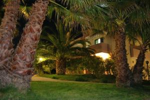 a hotel at night with palm trees in the foreground at Vaia Residence in Torre dell'Orso