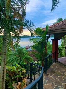 a balcony with palm trees and a view of the water at Seagull Cove Resort in Boca Chica