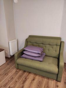 a green couch with two purple pillows on it at RIGA street Apartment 54 entire house in Valmiera +14 photos