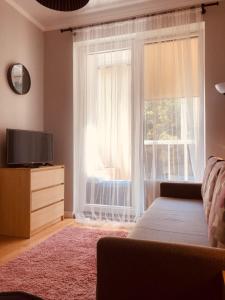 スヴェトロゴルスクにあるSunny forestのベッドルーム(ベッド1台、テレビ、窓付)