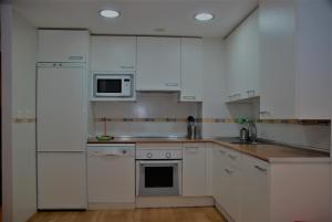Η κουζίνα ή μικρή κουζίνα στο TU APARTAMENTO EN EL VALLE DE TENA en ESCARRILLA +22 φωτογραφίες