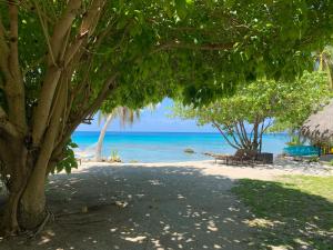 a beach with a tree and the ocean at Le Coconut Lodge in Avatoru
