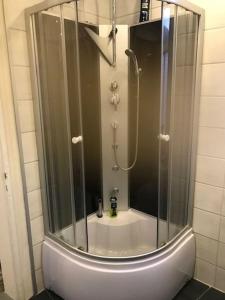 a shower with a glass door in a bathroom at Haus Jörg in Lutter