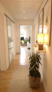 a living room with a potted plant and a hallway at Ferien am See in Möhnesee