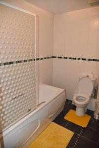 a bathroom with a tub and a toilet and a shower at San Pedro - Flagship Lodge in Rochester