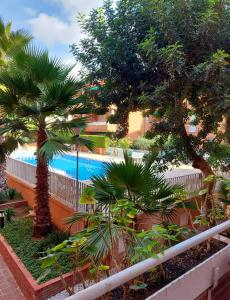 vistas a una piscina con palmeras en Comarruga Playa apartamento con piscina, en Comarruga