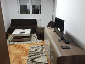 a living room with a television and a couch at Apartman Vranje in Vranje