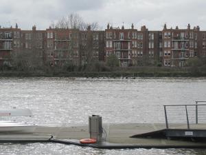 Cosy River Reach Crib