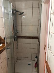 a shower with a glass door in a bathroom at La Campana de Arriba in La Guancha +22 photos