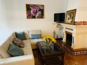 Televízia a/alebo spoločenská miestnosť v ubytovaní Apartamentos La Casa del Azafrán